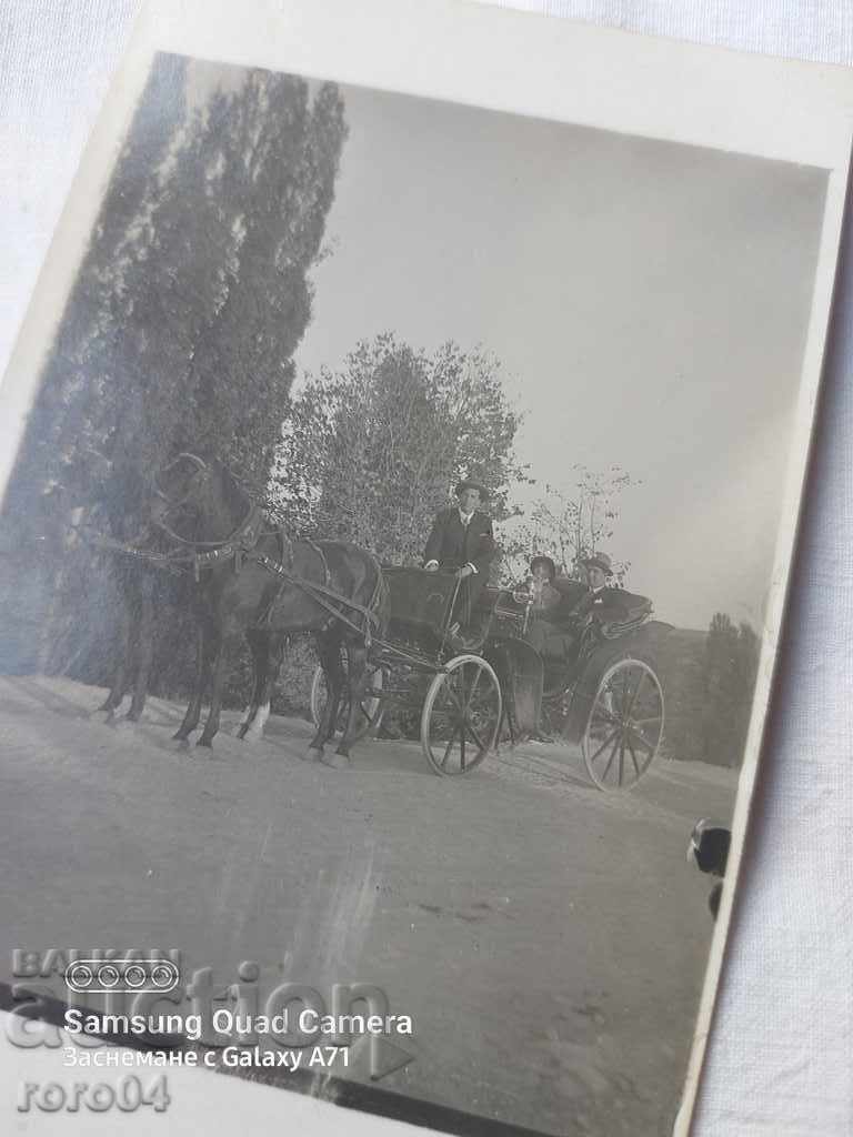 ΦΥΤΟΝ με τιμή € 5.77 | 11.29 BGN