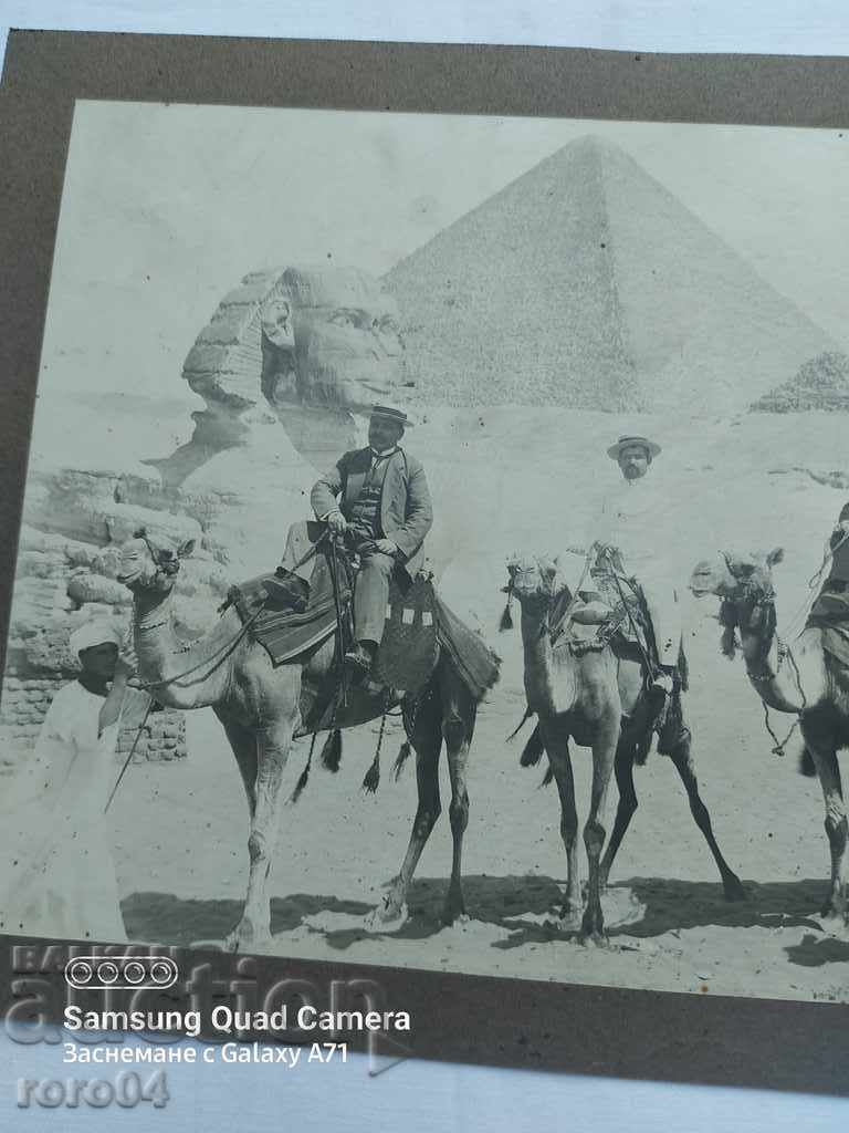 PYRAMIDS - PHARAOHS - CAMELS - KARASTOYANOV with price 55.00 BGN | € 28.12 PYRAMIDS - PHARAOHS - CAMELS - KARASTOYANOV with price 55.00 BGN | € 28.12