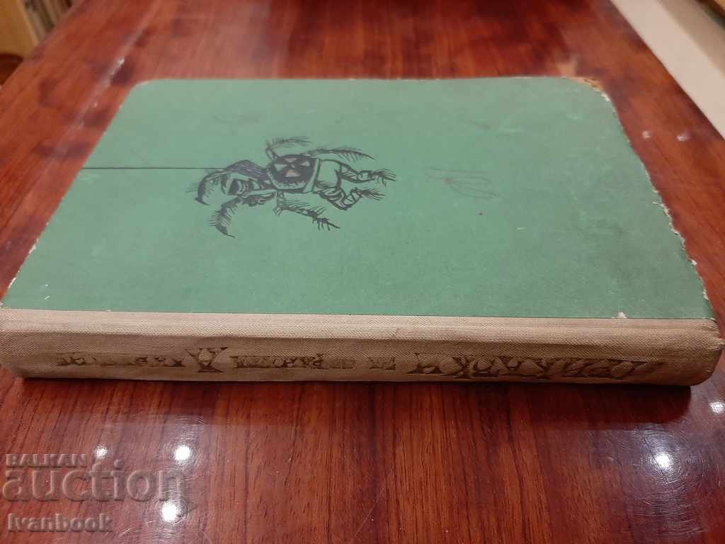 carte pentru copii cu preț 2.00 BGN | € 1.02 carte pentru copii cu preț 2.00 BGN | € 1.02