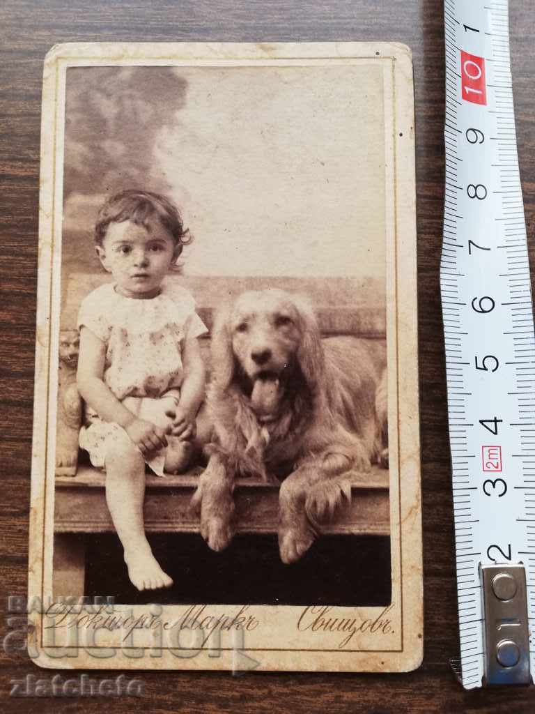 Old photo cardboard Doctor Mark - Svishtov with price 25.00 BGN | € 12.78 Old photo cardboard Doctor Mark - Svishtov with price 25.00 BGN | € 12.78