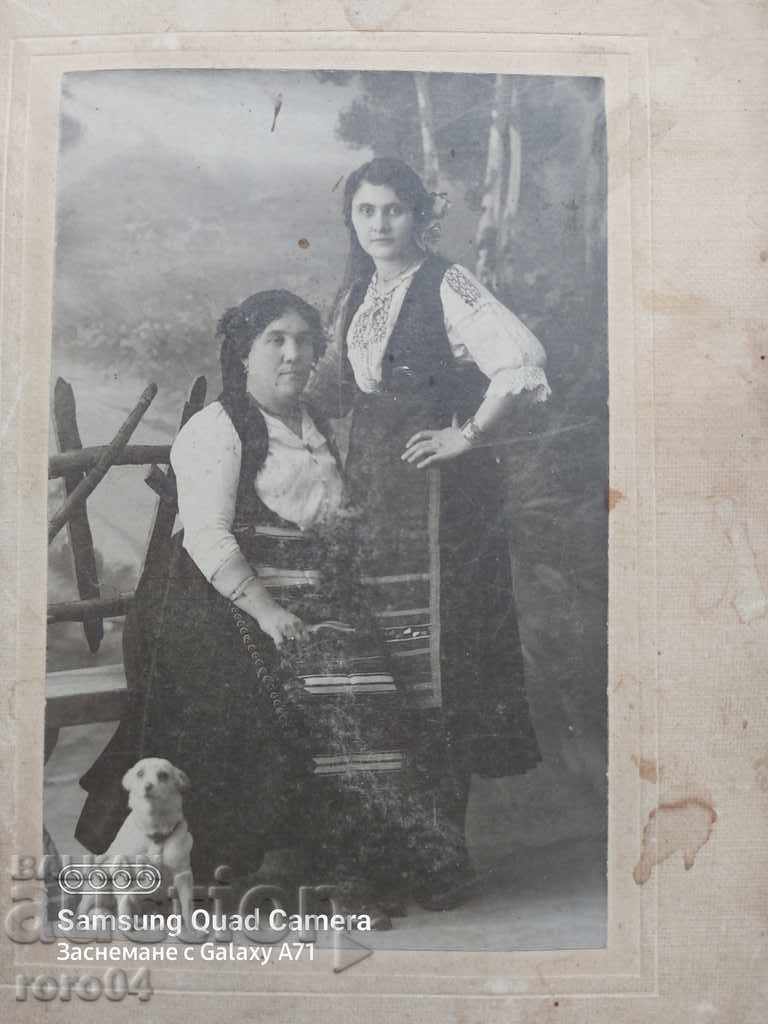 MOMI - CARRIERS - CARDBOARD - 5 MOMI - CARRIERS - CARDBOARD - 5