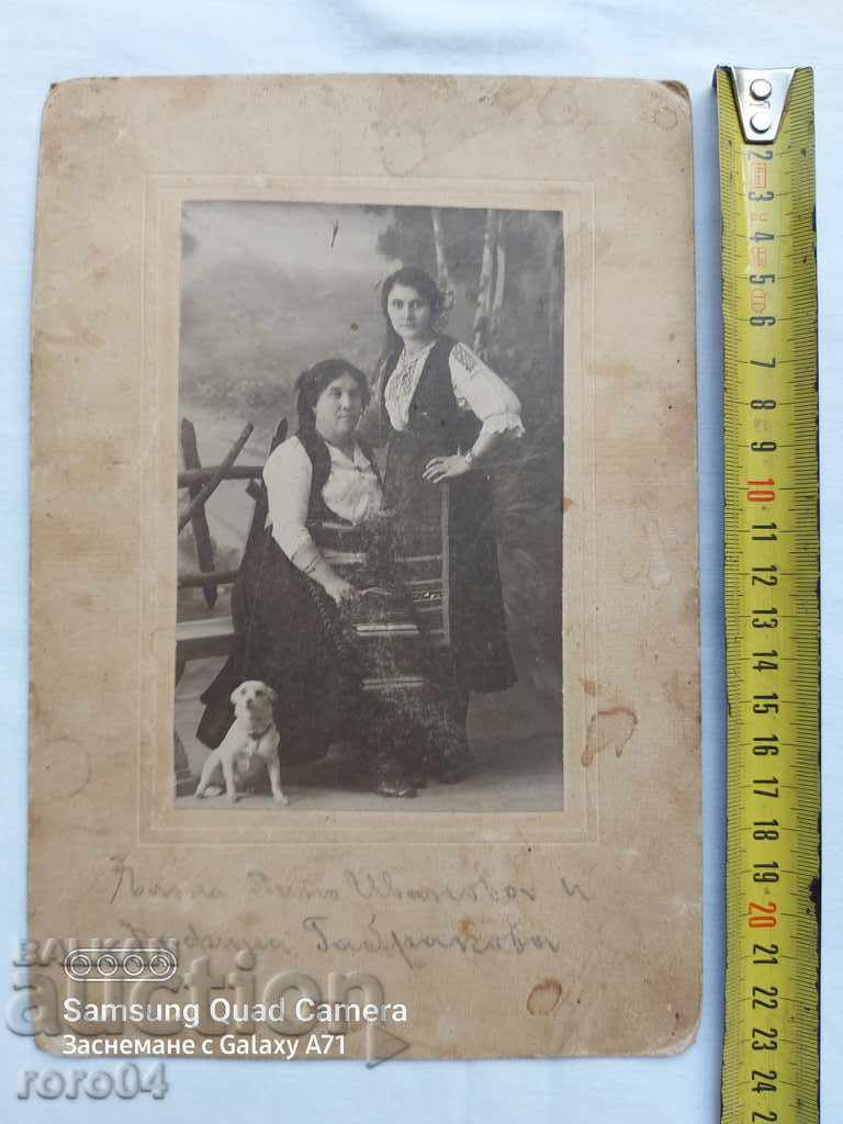 MOMI - CARRIERS - CARDBOARD - 6 MOMI - CARRIERS - CARDBOARD - 6