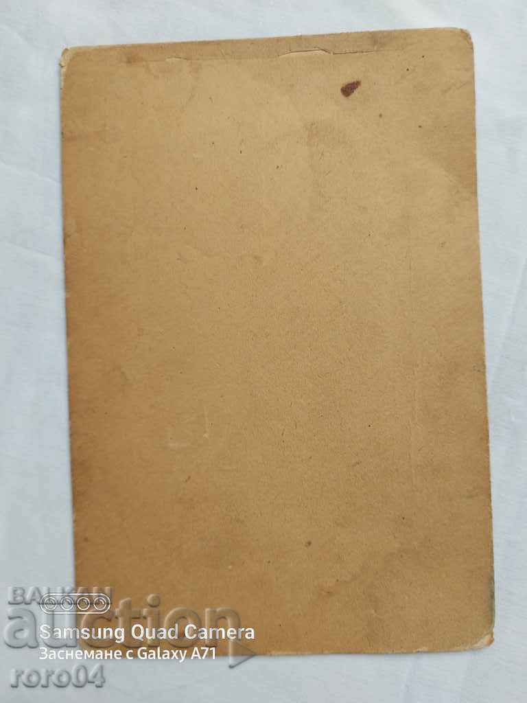 MOMI - CARRIERS - CARDBOARD - 7 MOMI - CARRIERS - CARDBOARD - 7