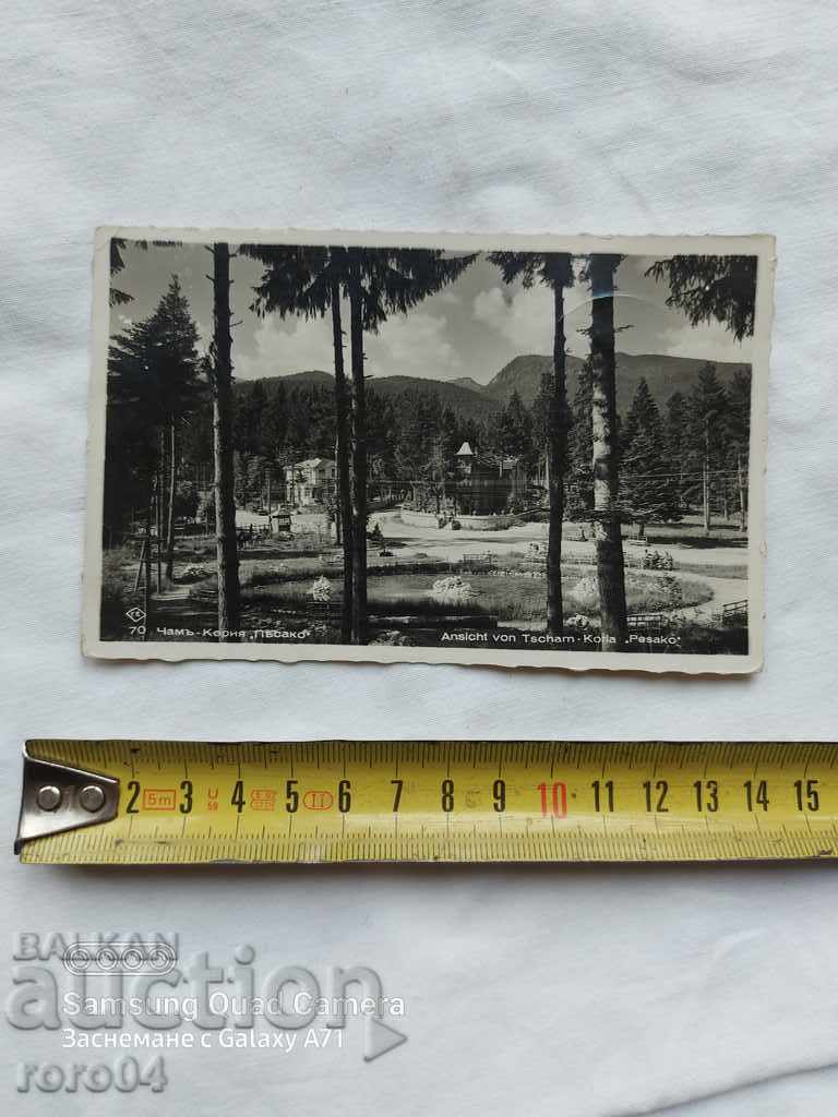 PINE-KORIA with price 13.50 BGN | € 6.90 PINE-KORIA with price 13.50 BGN | € 6.90