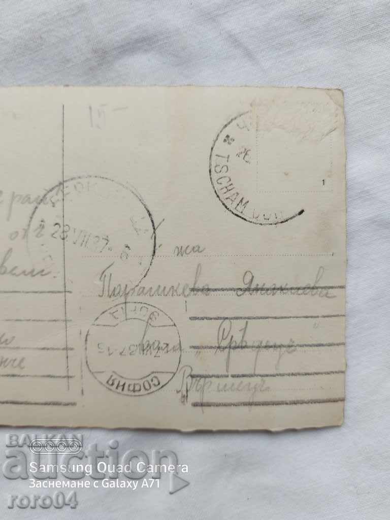 PINE-KORIA - 6 PINE-KORIA - 6