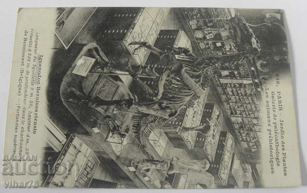 CARD with price 19.99 BGN | € 10.22 CARD with price 19.99 BGN | € 10.22