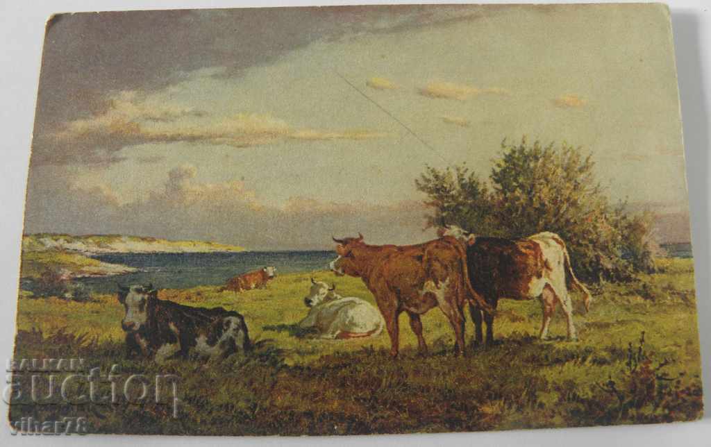 Auction CARD Auction CARD