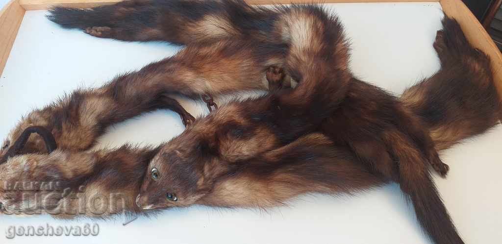 Beautiful leather collar, 3 mink scarf with price 80.00 BGN | € 40.90 Beautiful leather collar, 3 mink scarf with price 80.00 BGN | € 40.90