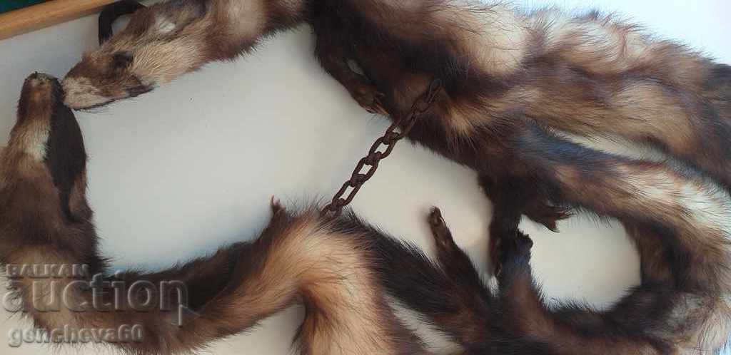 Delivery of Beautiful leather collar, 3 mink scarf Delivery of Beautiful leather collar, 3 mink scarf