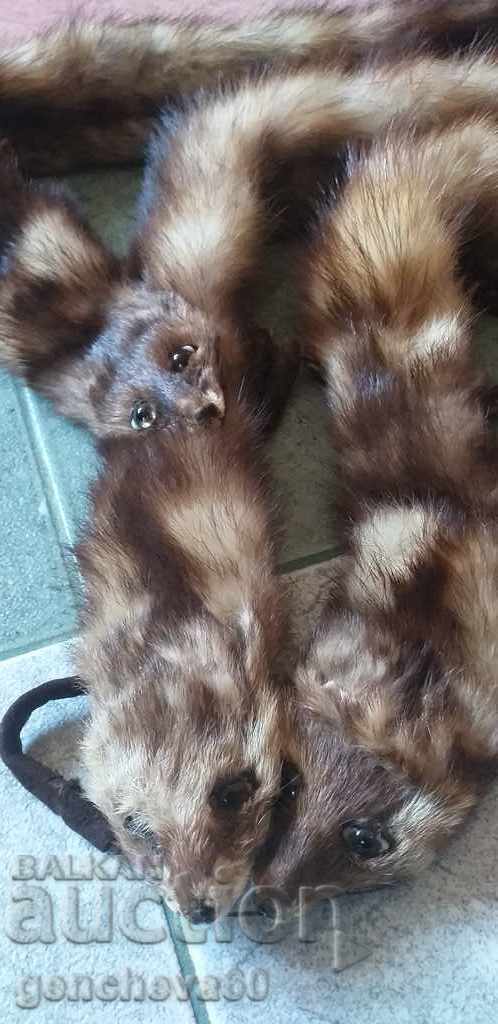 Beautiful leather collar, 3 mink scarf - 5 Beautiful leather collar, 3 mink scarf - 5