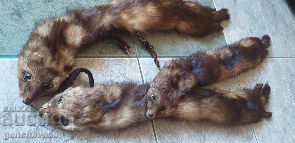 Beautiful leather collar, 3 mink scarf Beautiful leather collar, 3 mink scarf