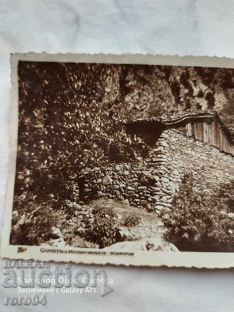 SOPOT with price 8.99 BGN | € 4.60