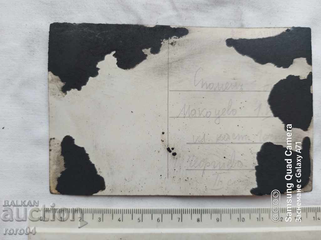 MAKOTSEVO - PHOTO ZASHEV - 5