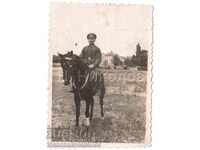 SMALL OLD PHOTO CAVALRYMAN ON HORSE A707