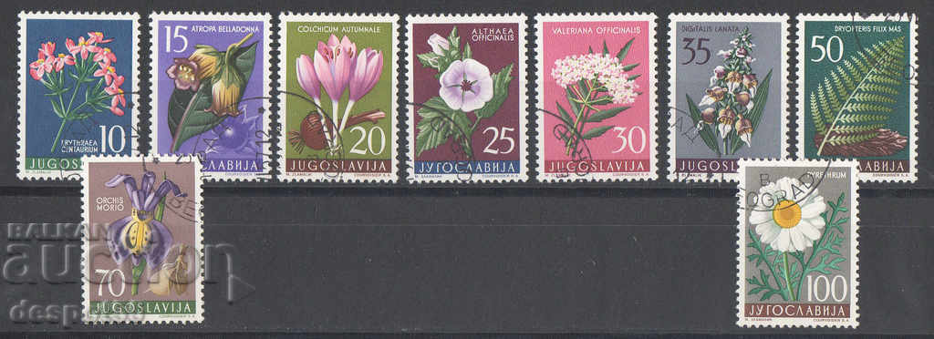 1957. Yugoslavia. Local flora.