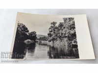 Postcard Ropotamo River 1963