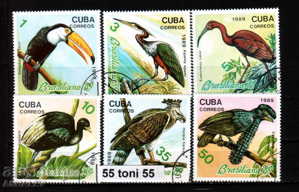 CUBA - fauna Păsări