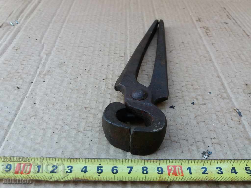 STOMANIZED SOC. KERPEDEN - 5 STOMANIZED SOC. KERPEDEN - 5