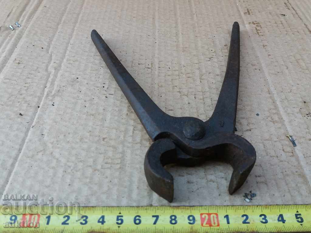 STOMANIZED SOC. KERPEDEN - 6 STOMANIZED SOC. KERPEDEN - 6