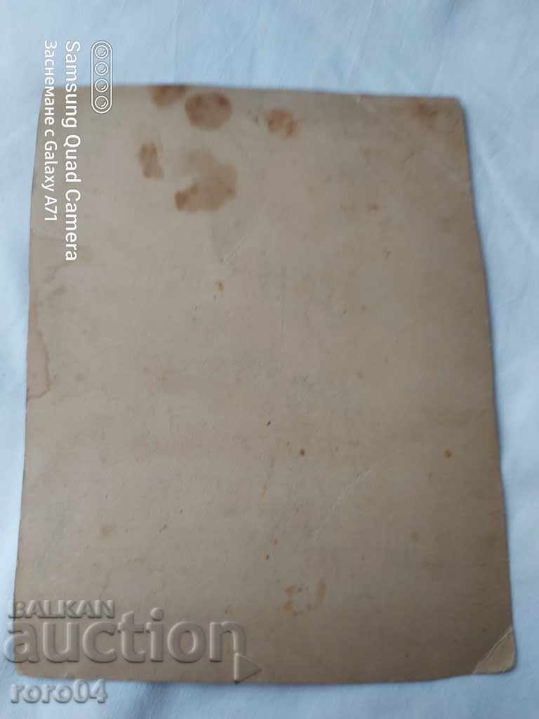 GUARDS - OVERHEADS - DOGS - 5 GUARDS - OVERHEADS - DOGS - 5