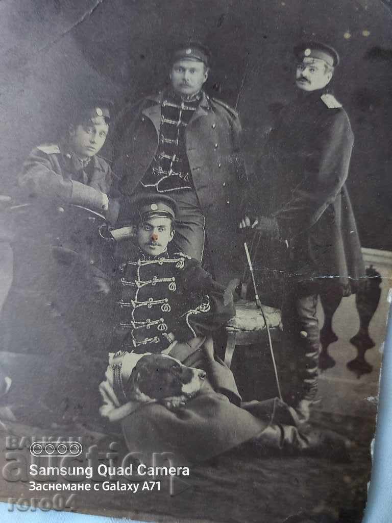 GUARDS - OVERHEADS - DOGS - 7 GUARDS - OVERHEADS - DOGS - 7