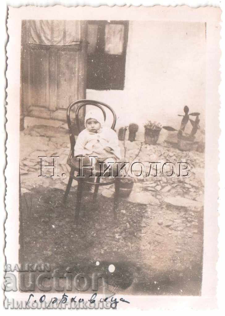 LITTLE OLD PHOTO TOP WALNUT BABY ON CHAIR A782 LITTLE OLD PHOTO TOP WALNUT BABY ON CHAIR A782