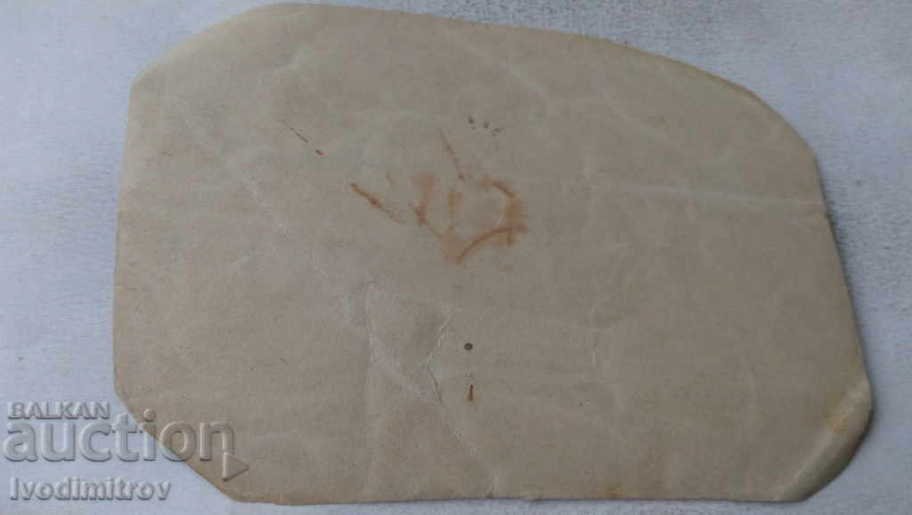 Photo Students with their teachers on a brigade with price 1.65 BGN | € 0.84