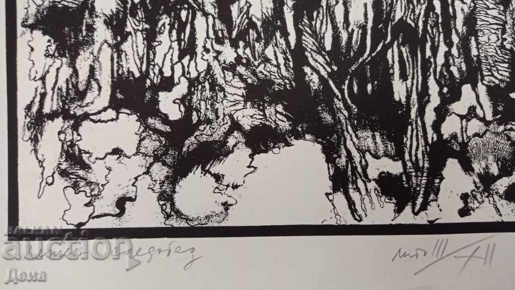 Licitație Dimitar Donev, GRAFICA 1985