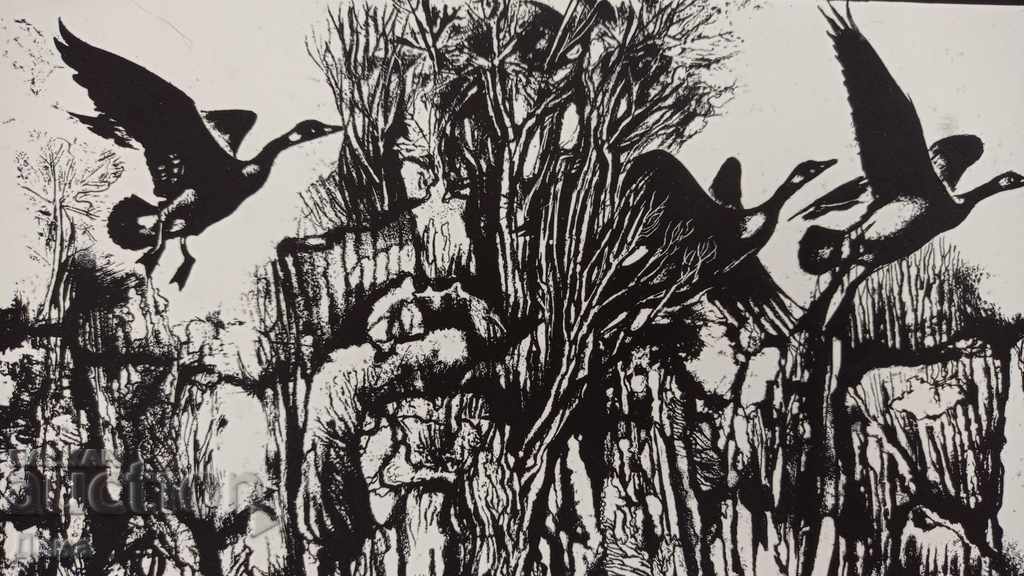 Dimitar Donev, GRAPHICS 1985 - 5