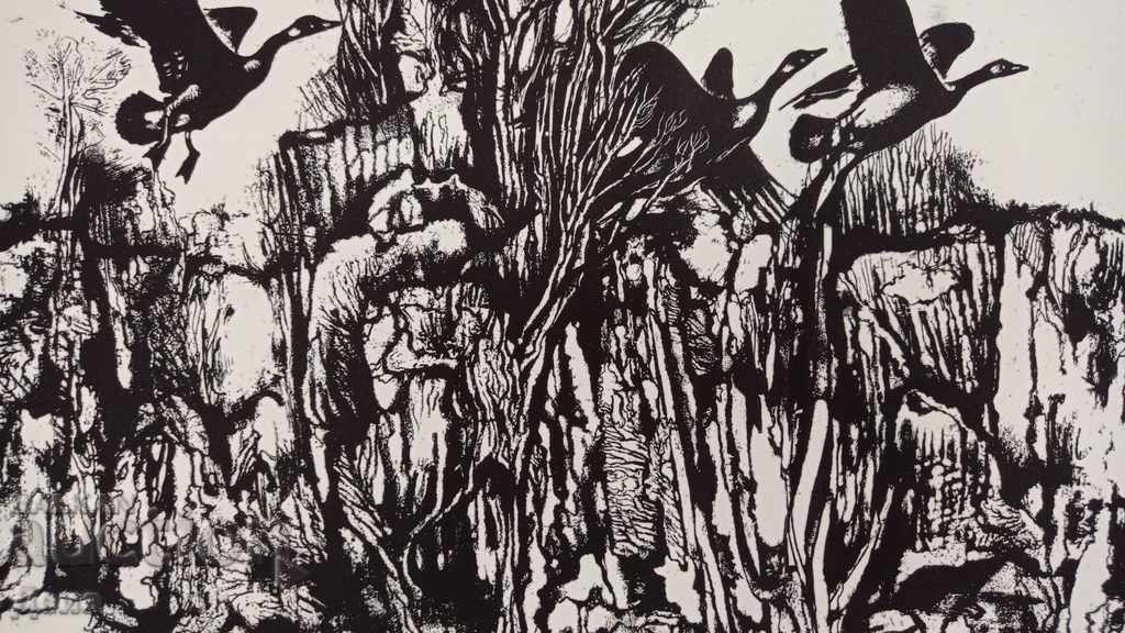 Dimitar Donev, GRAFICA 1985 - 7