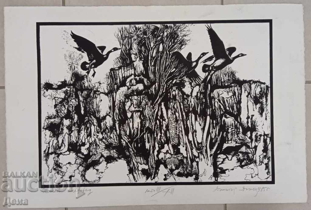 Dimitar Donev, GRAPHICS 1985