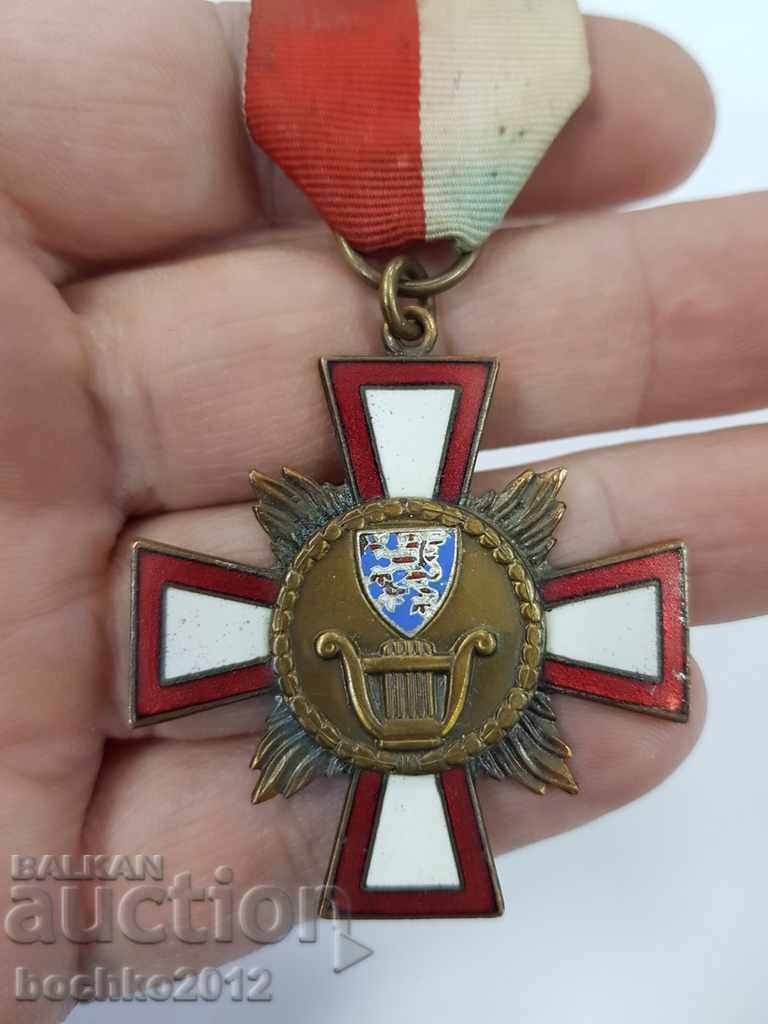 Old collection Austrian medal medal with enamel