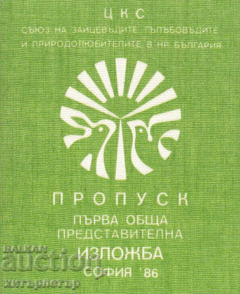 Exhibition Pass CKS Print 1986