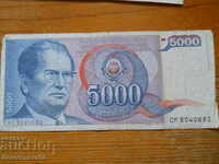 5000 δηνάρια 1985 - Γιουγκοσλαβία ( G )