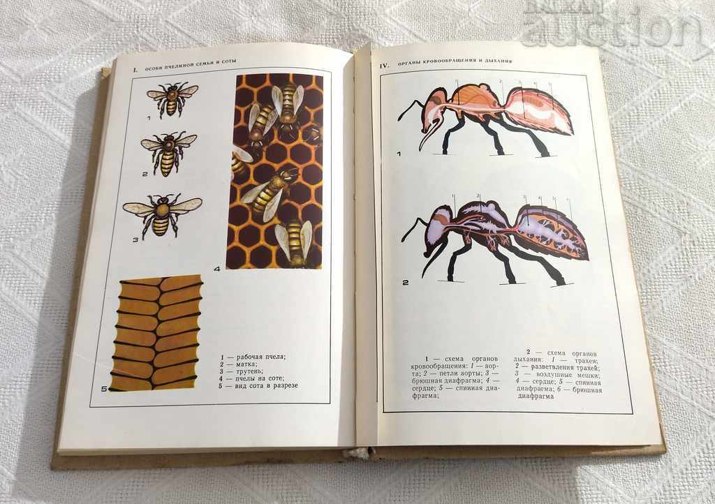 Livrarea DICTIONAR APICULTURA-MANUAL APICULTORUL 1984 Livrarea DICTIONAR APICULTURA-MANUAL APICULTORUL 1984