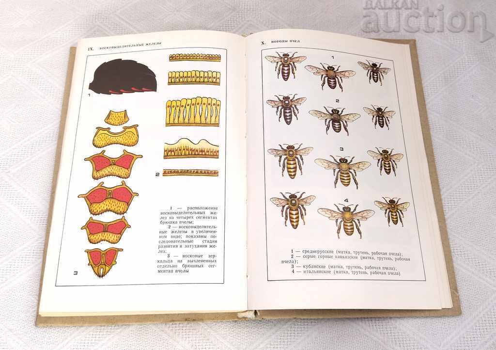 DICTIONAR APICULTURA-MANUAL APICULTORUL 1984 - 5 DICTIONAR APICULTURA-MANUAL APICULTORUL 1984 - 5