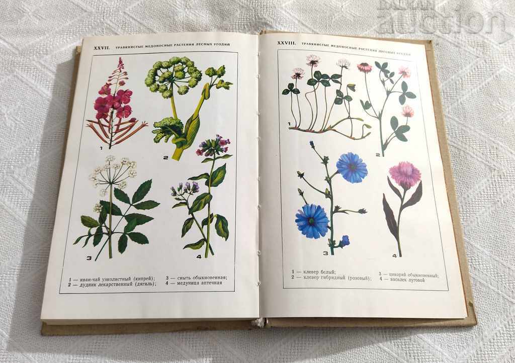 DICTIONAR APICULTURA-MANUAL APICULTORUL 1984 - 6 DICTIONAR APICULTURA-MANUAL APICULTORUL 1984 - 6