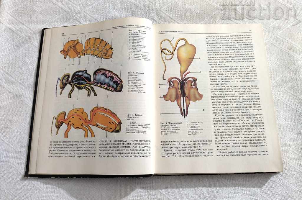 Auction  BEEKEEPING BEEKEEPING 1990