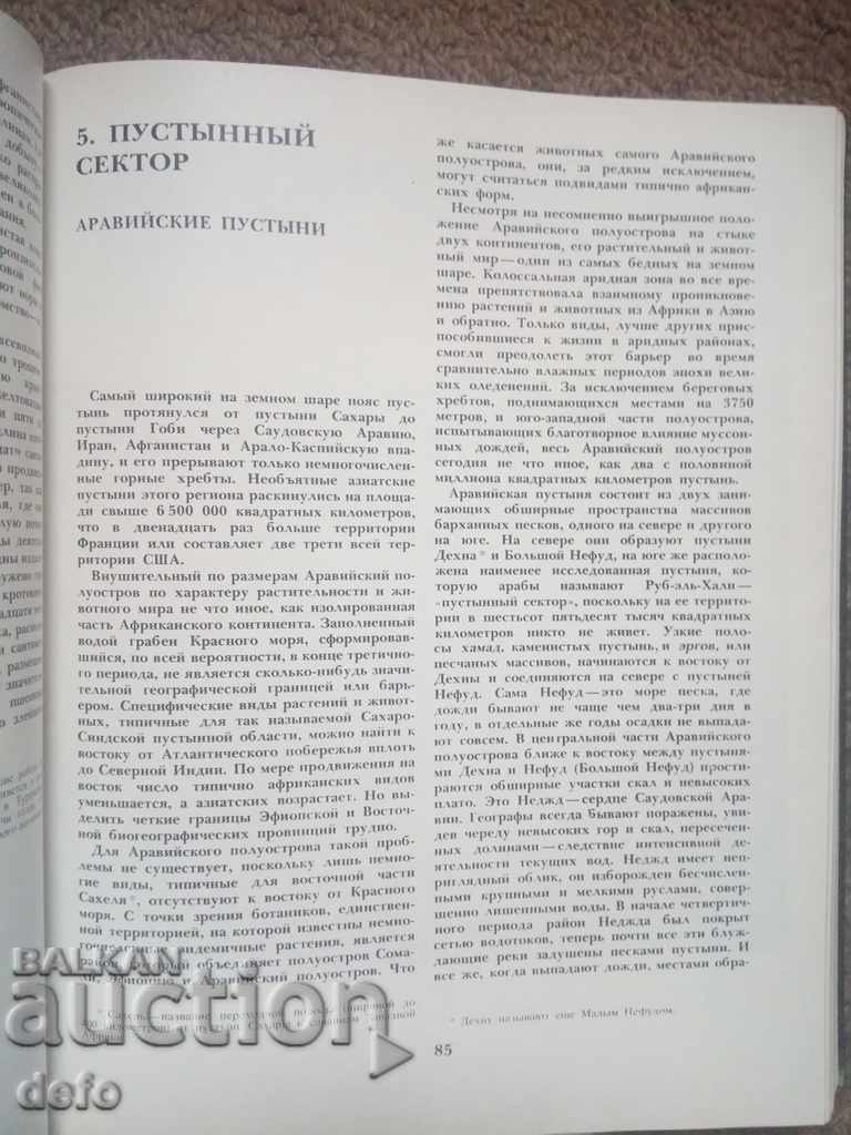 Auction ASIA - P. PFEFER 1982 Auction ASIA - P. PFEFER 1982