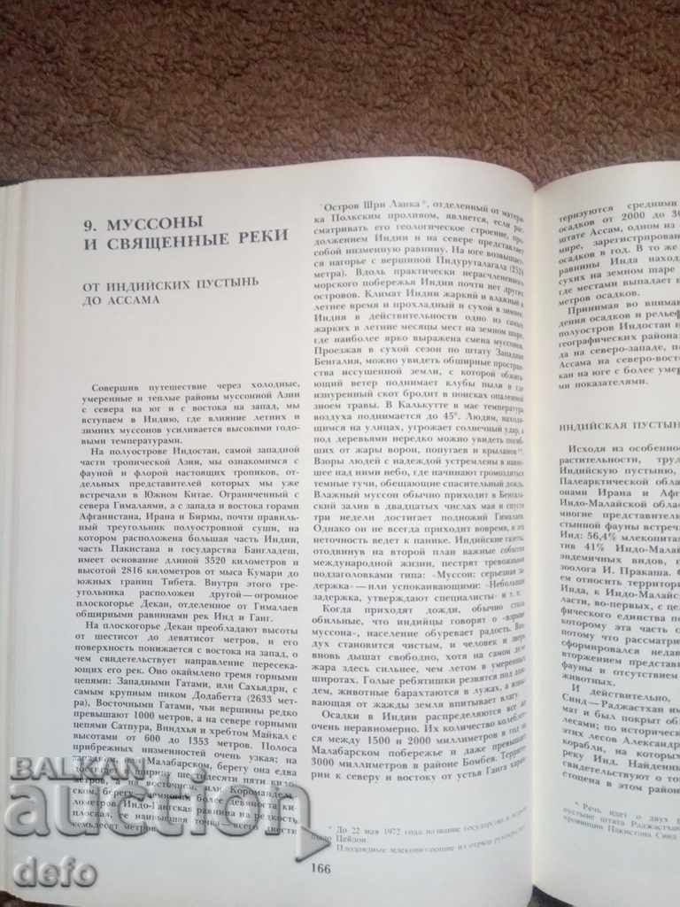 ASIA - P. PFEFER 1982 - 5 ASIA - P. PFEFER 1982 - 5