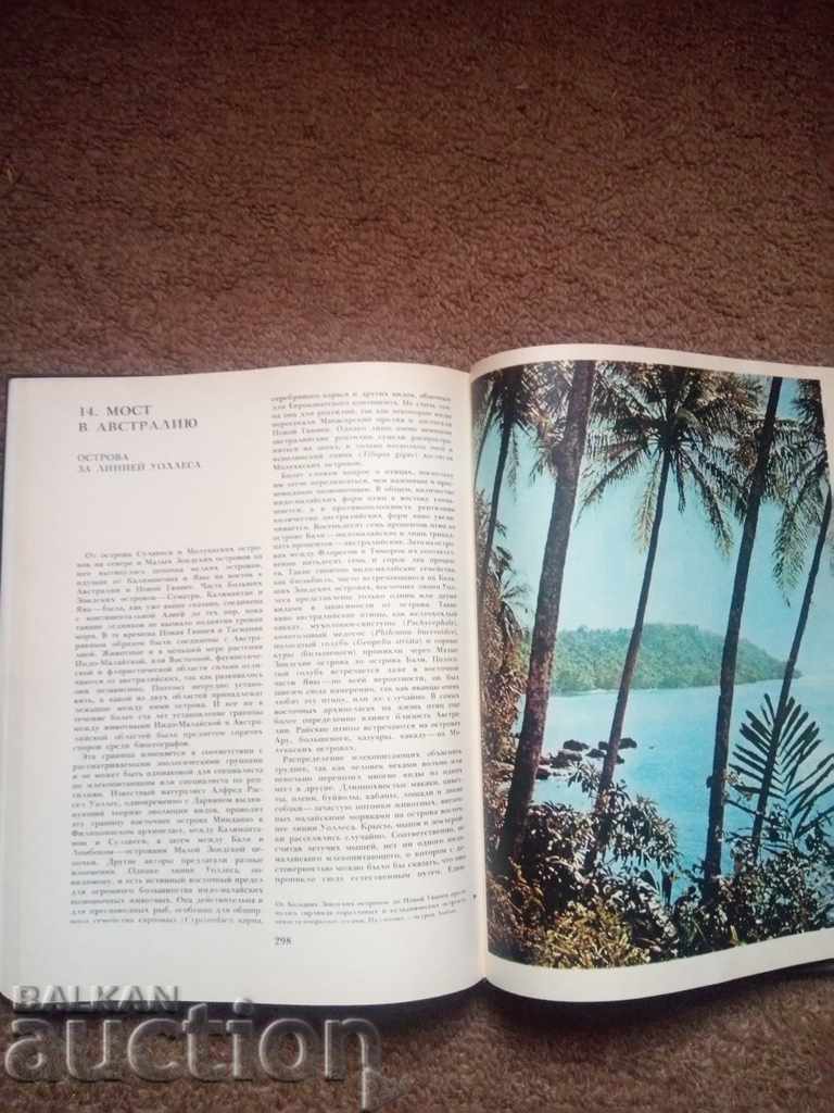 ASIA - P. PFEFER 1982 - 6 ASIA - P. PFEFER 1982 - 6