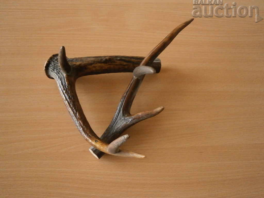 Licitație instalare corn corn