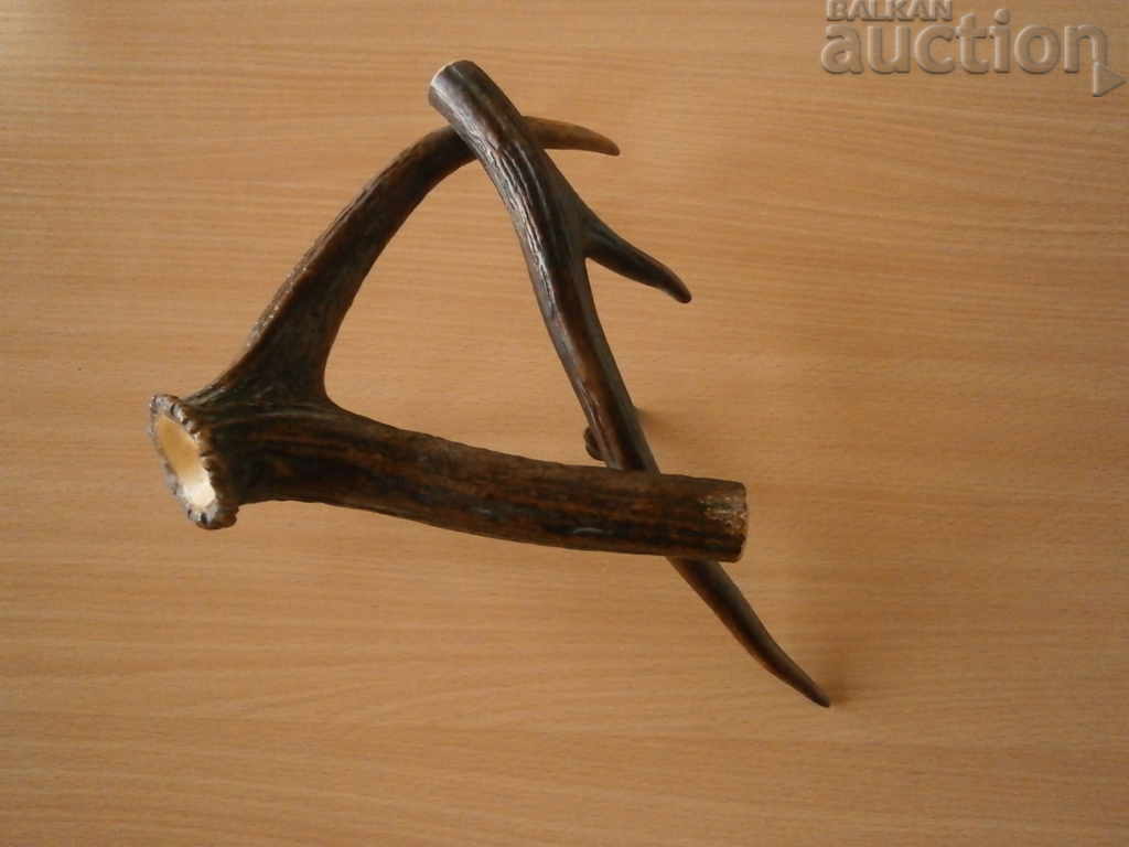 instalare corn corn - 5