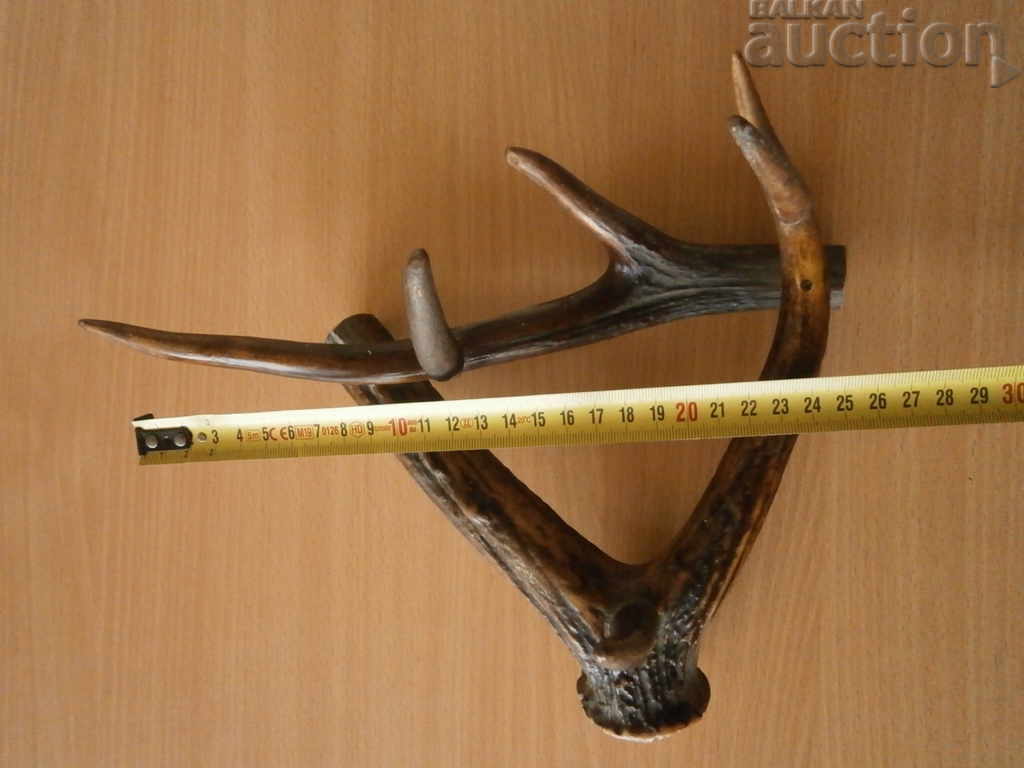 instalare corn corn - 6