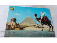 Postcard Gisa The Great Sphinx and Hephren Pyramid