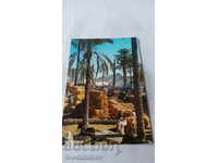 Postcard Tripoli Straw-market