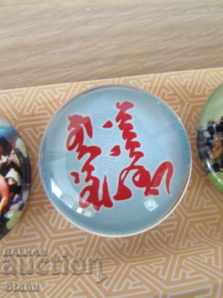 Delivery of Set of 4 magnets from Mongolia-series-42