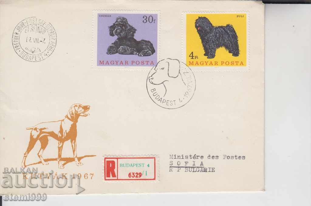 Първодневен Пощенски плик Кучета Препоръчана поща