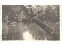 Παλιά καρτ ποστάλ - ποταμός Kamchia