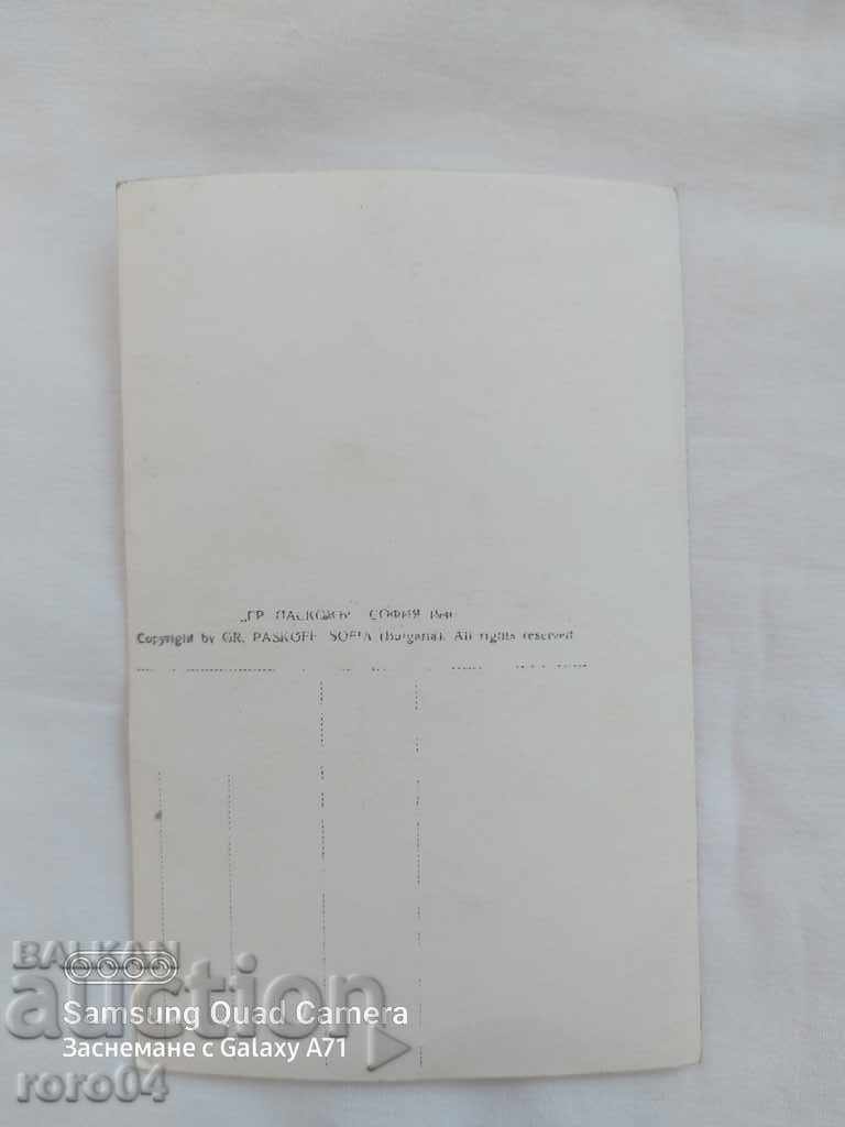 PROVADIA - 5 PROVADIA - 5